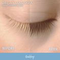 Load image into Gallery viewer, Before and after comparison of 28 Day Mascara in darkest brown shade by Godefroy.