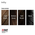 Load image into Gallery viewer, 4 shades available for 28 day eyebrow color