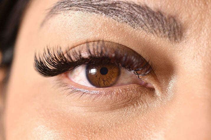 Close up of a woman's brown eye, lashes, and brow