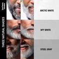 Load image into Gallery viewer, three shades for silver line brush on beard colorant