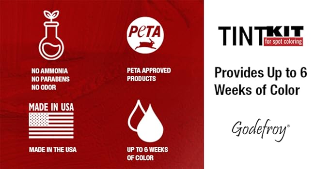 TintKit facts and logo